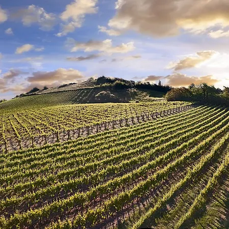 Hotell Valle Del Marta Tarquinia